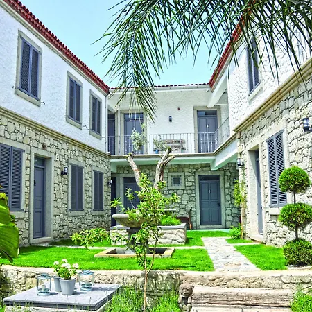 Ala - Special Category (adults Only)