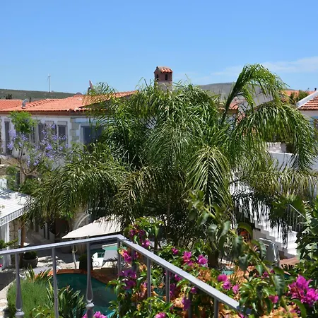 Ala - Special Category (adults Only)