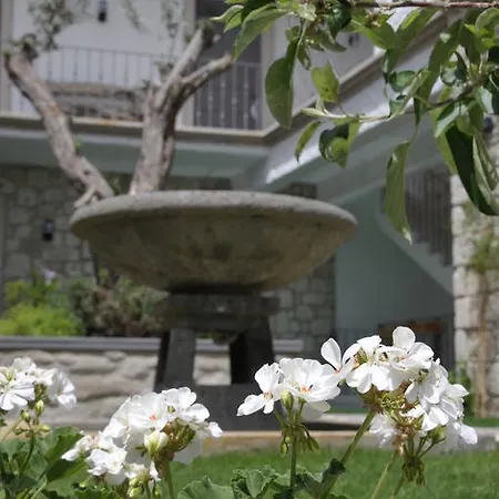 Hotel Ala - Special Category (adults Only)