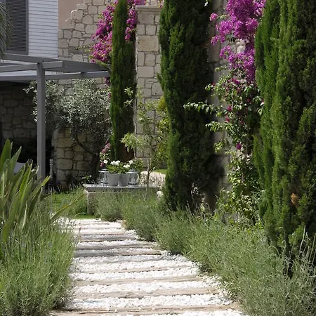 Ala - Special Category (adults Only)