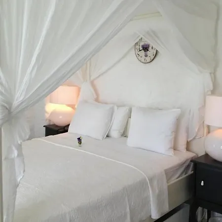 Hotel Ala - Special Category 4*