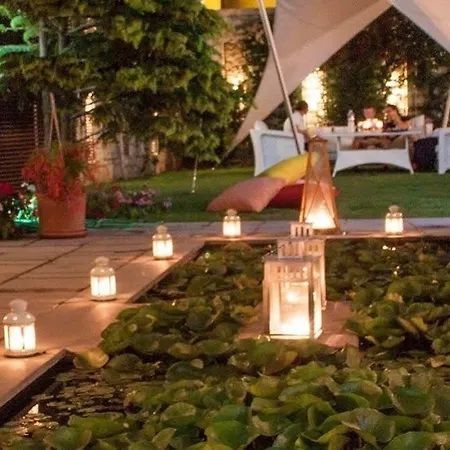 Ala - Special Category (adults Only)