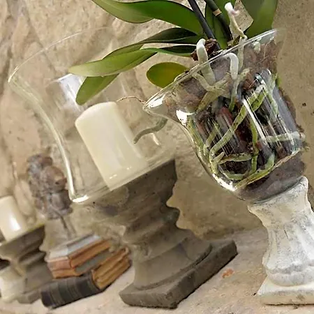 Ala - Special Category (adults Only) מלון