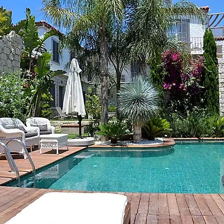 Ala - Special Category (adults Only) 4* אלאקאטי