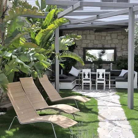 Ala - Special Category (adults Only)