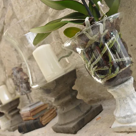 Hotel Ala - Special Category (adults Only)