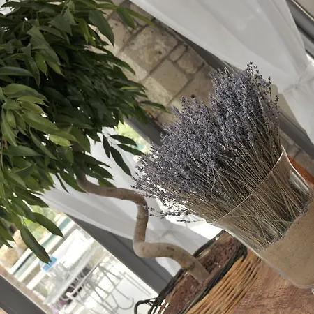 Hotel Ala - Special Category (adults Only)